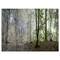 Designart - Green Morning in Forest Panorama - Landscape Canvas Art Print